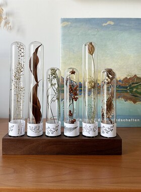 玻璃试管干花植物标本实木底座组合桌面装饰摆件R送闺蜜礼物诧寂