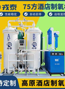 大型酒店制氧设备PSA变压吸附75方制氧机弥散高原弥散供氧厂家