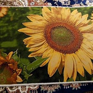 单 老式 自行车成人男女士成年女式 轻便学生普通24寸N26寸淑女女款