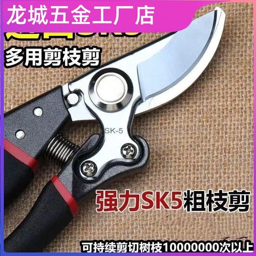 德国精工剪树枝专用剪刀园艺果树修枝剪sk5粗枝修花省力剪子园林
