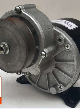 金驰减速电机MY1016Z2-250W350W 皮带轮电机 有刷电机 12V24V36V
