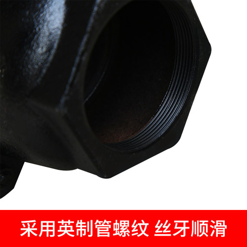 H12X-2.5铸铁丝扣底阀/单向阀/水泵止回阀DN2540506580100包邮