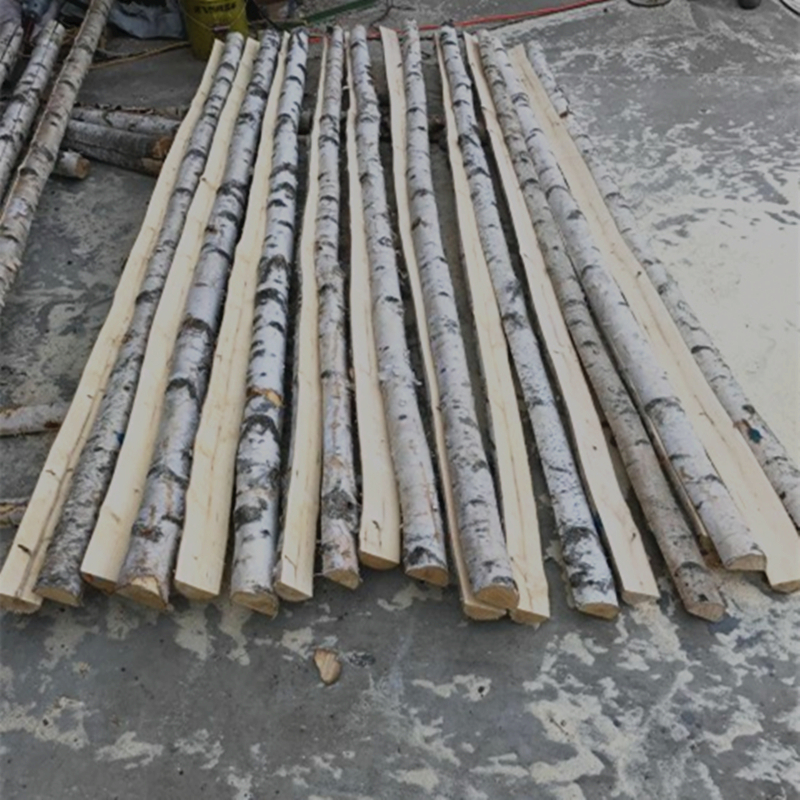 天然白桦树装饰树杆白桦树干桦木原木段树枝树杈枯树婚庆橱窗隔断