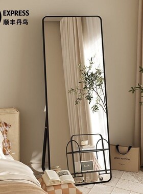 全身镜子落d地穿衣镜家用网红ins风试衣镜女生卧室贴墙挂墙大镜子