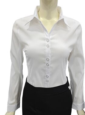 白衬衫女士长袖新款秋冬季内搭职业正装气质韩版黑白条衬衣工作服