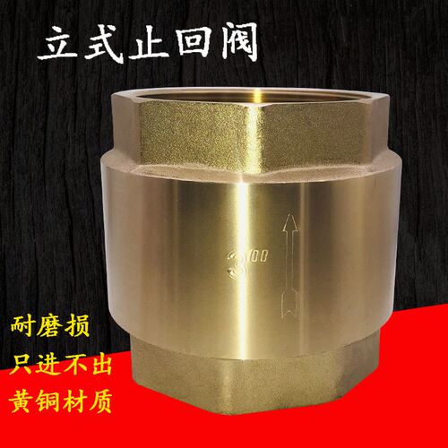 簧铜立式止回阀 弹簧单向阀止逆阀水泵阀2.5寸3寸DN65 80