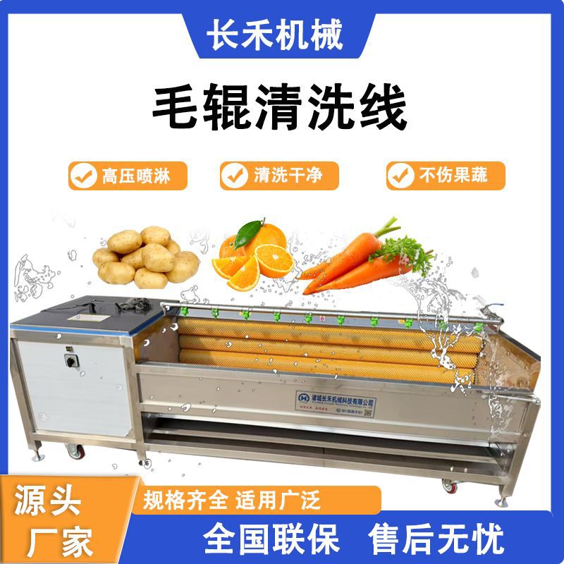 冰糖橙毛辊清洗机 全自动水果毛发去杂清洗机 全自动滚刷洗果机