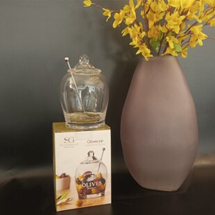 透明玻璃糖花茶i茶叶掉料盐罐带勺子储物罐带盖咖啡罐约249毫升