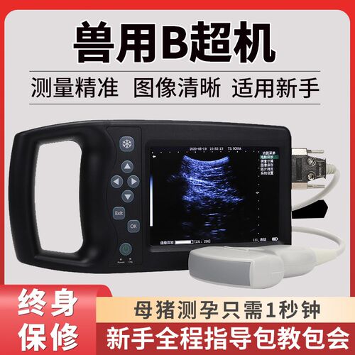 兽用b超机宠物b超机无线探头测牛羊猪怀孕M母猪验孕仪便携彩超机