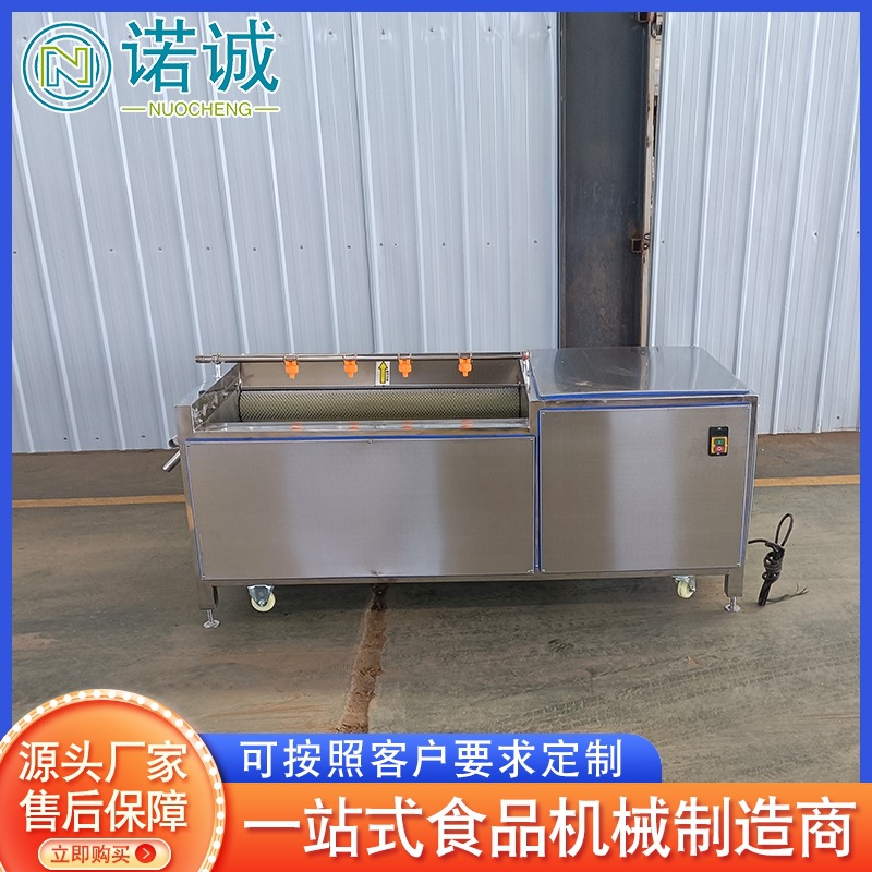 全自动红薯去泥毛辊清洗机 马蹄去皮机设备 不锈钢毛辊清洗机设备