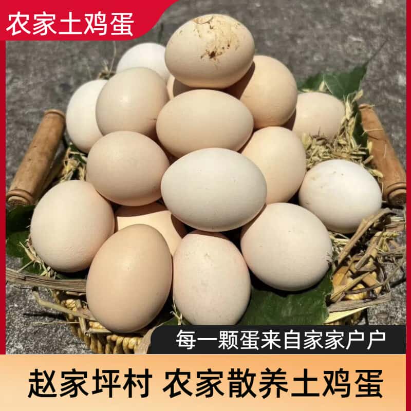 乡村农家土鸡蛋正宗农家土鸡蛋