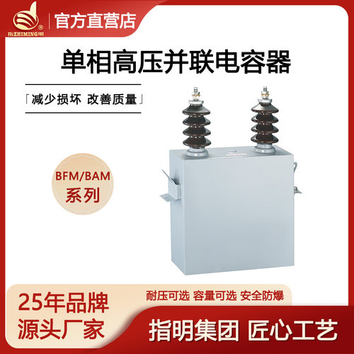 指明厂家 单相高压电力电容器BFM6.3-100-1W 高压并联电容器6.3kv