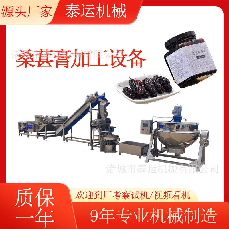 桑葚果膏加工机器木瓜膏生产线酸枣仁膏加工设备黄梨膏浓缩流水线,清洗/食品/商业设备,其他清洗机,淘宝优惠券,粉丝福利购,淘宝优惠卷