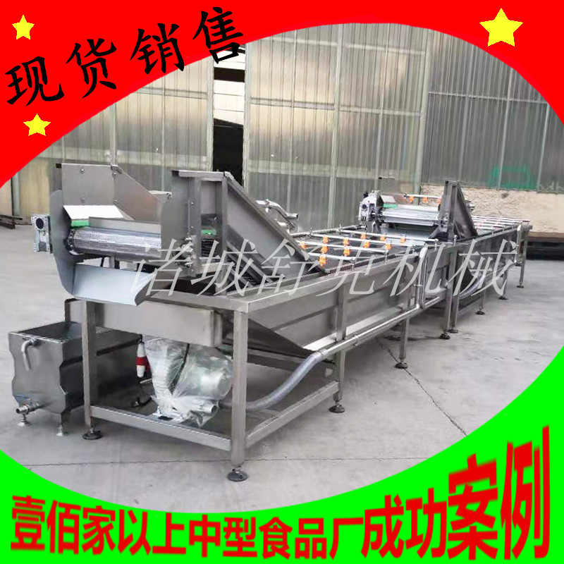 商用输送带式海鲜清洗去泥机  厂家不锈钢链板式高压气泡清洗机