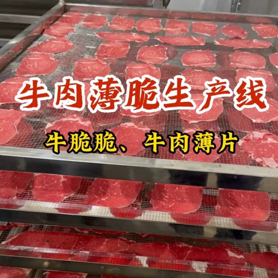 牛肉薄脆烘干成套生产线 牛排脆烘干房 牛肉薄片加工设备烘干机