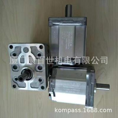111.20.282丹佛斯齿轮泵DANFOSS油泵SNP2NN/017RN01BAP1F5F4NNNNN
