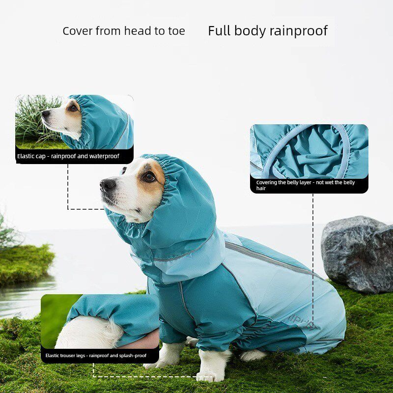 宠物雨衣柯基犬雨衣中小型犬全天候穿着,雨天出门防水防雨