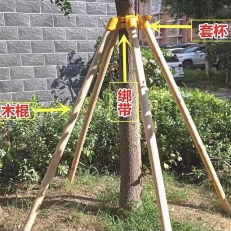 松木树木支撑架固定器园林防风大树支撑杆苗木支架树撑绿化树苗架图片