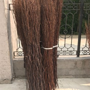 饰品摆件天然树枝 饰隔断橱窗装 真树枝装 饰白干树枝龙柳干枝龙桑装