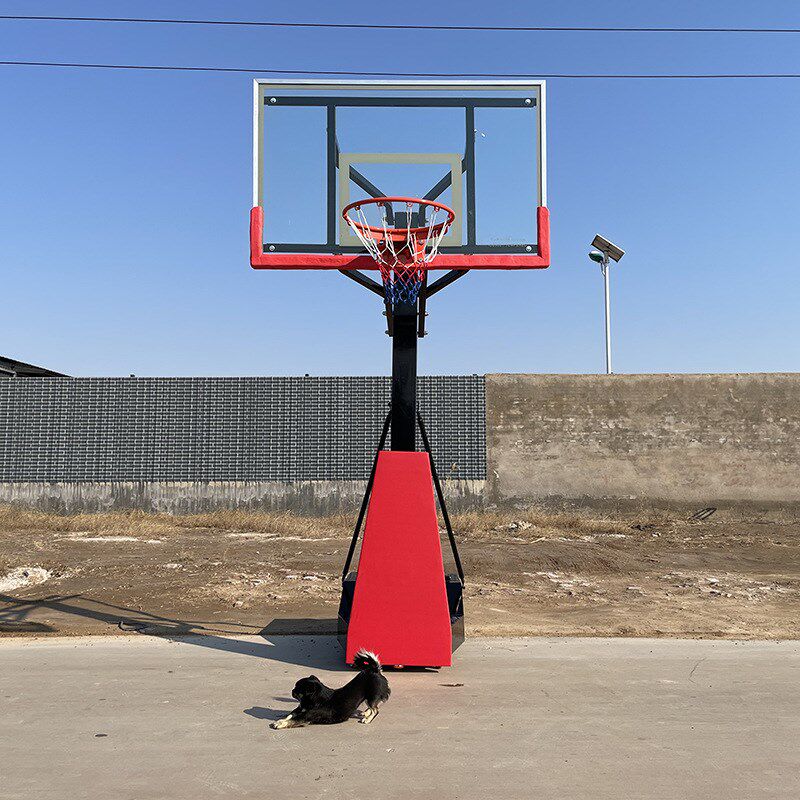 成人篮球架标准扣篮家用儿童室内可升降篮球框移动投篮架训练户外