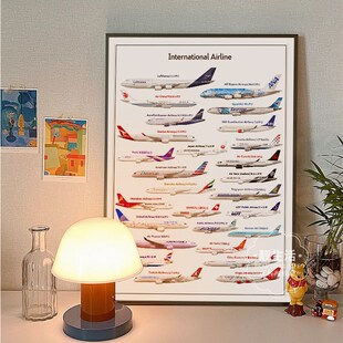 飞机装饰画航天航空公司民航挂画儿E童房波音客机办公室书房壁画