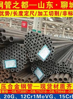 热电厂用15CrMoG高压合金钢管20G锅炉钢管 12cr1moVG高压锅炉管