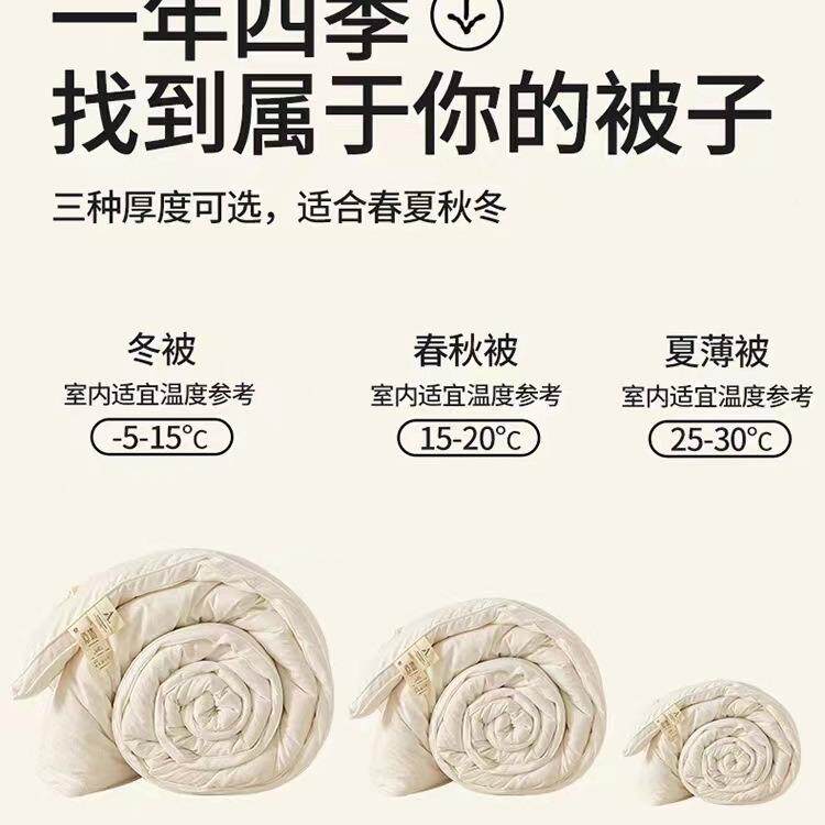 全提花豆大纤棉维被子母被原棉芯加厚冬被夏A类被春秋被被学生被