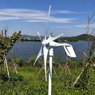 用型风力家机交输出电冰箱太阳流太阳能手摇发300瓦3叶电能家庭节