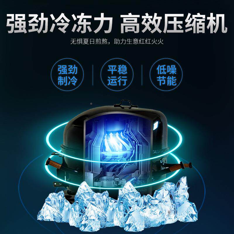 冰994柜商用大容量冰箱家用冷藏保鲜冷冻冷铜管两卧式柜单双温用