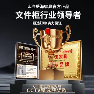 上海钢制办公室文件柜铁证皮柜柜子档案储资料柜0012财务凭带锁物