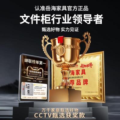 上海钢制办公室文件柜铁证皮柜柜子档案储资料柜0012财务凭带锁物