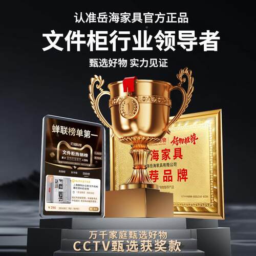 上海钢制办公室文件柜铁证皮柜柜子档案储资料柜0012财务凭带锁物