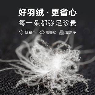 国标羽绒厂家 白鹅绒95鹅纯白服装标准电商检90鹅绒填充物散装