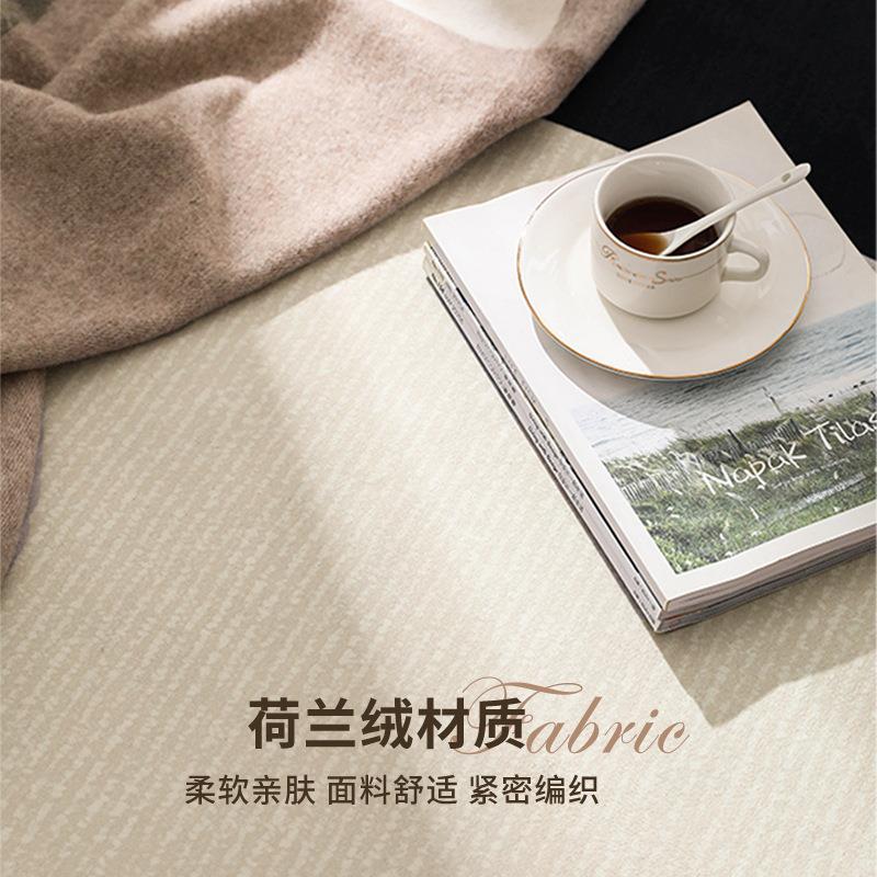 2024新暖色简荷兰绒卧室床边wei01约茶几沙发房间地垫可款擦机洗