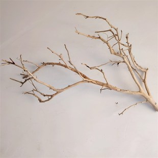 吊灯干枝分枝干树枝装饰树干枯枝室内天花板挂灯插花挂件舞台摆件