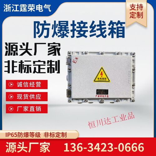 防爆配电箱接线箱控制检修插座箱隔爆接线箱400*300防爆照明箱其