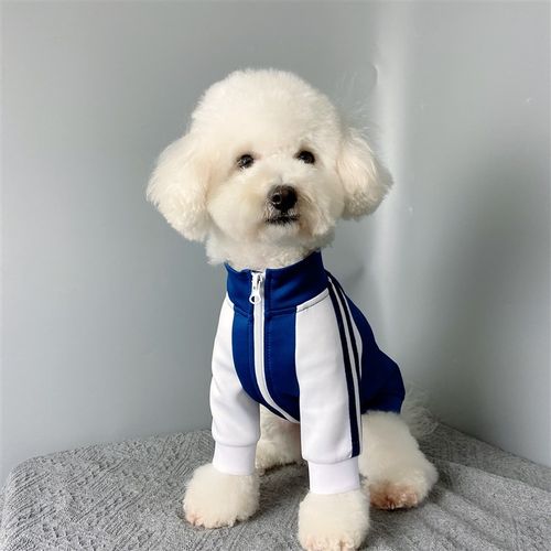 宠物狗狗拉链衫纸样泰迪金毛比熊开衫图纸手工缝制两脚衣DIY模板