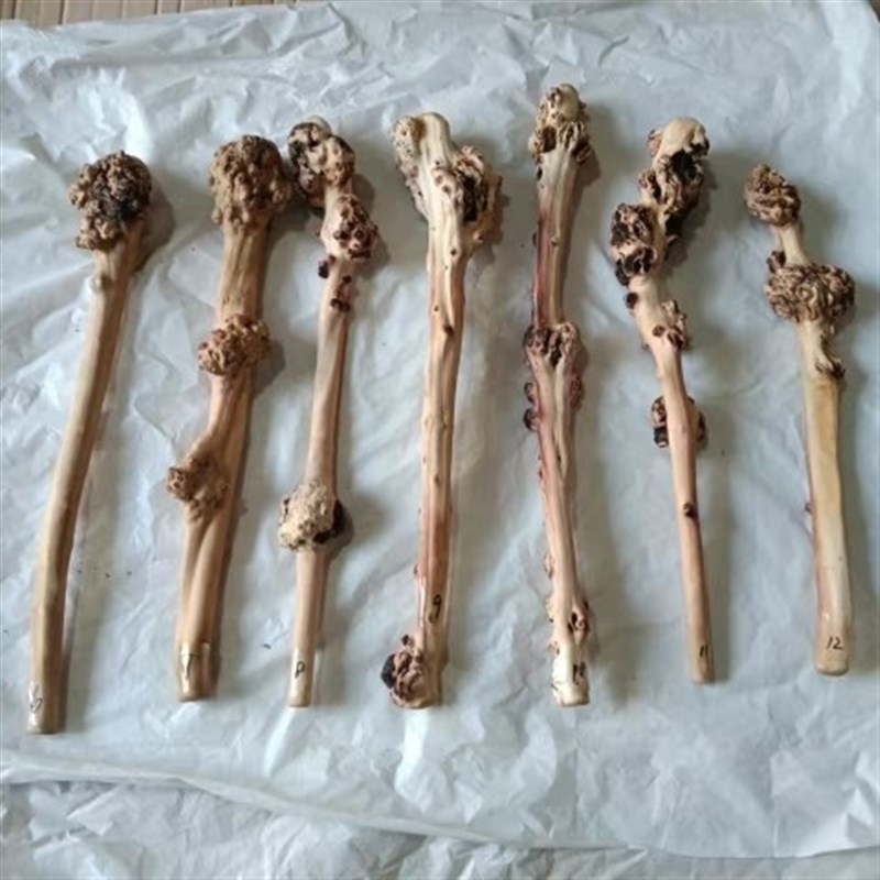 开山木出山木法器棍子堂口胡家太爷法器法棍权杖可实物挑选