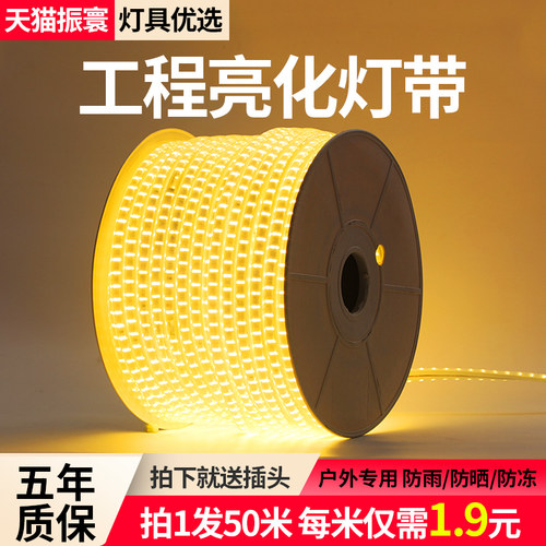 金黄光灯带led灯条户外防水220V工程亮化室外景观照明暖色灯带条