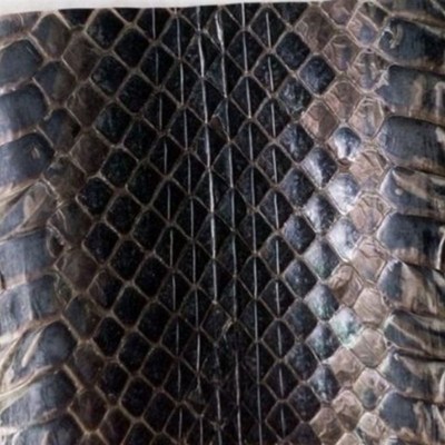 高品质乐器配件乌稍皮中段单块蛇皮京胡四胡蒙皮材料京胡胡琴配件