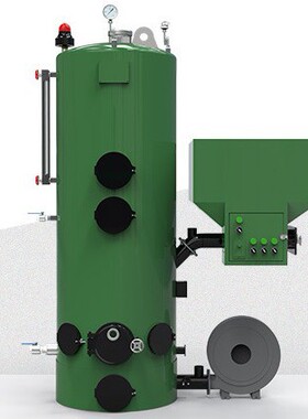 生物质水汽炉商用200kg大型蒸汽发生器全自动蒸气清洗锅炉