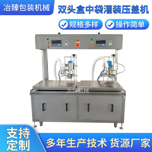 BIB双头盒中袋灌装压盖机 铝箔袋液体定量包装机 透明软袋灌装机