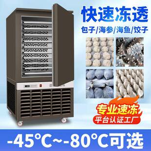 商用速冻柜低温急速冷冻柜海参饺子水饺速冻机插盘式大容量速冻机