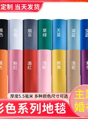 加厚拉绒地毯满铺灰色蓝色绿色紫色黄色家用卧室房间商用工程地毯