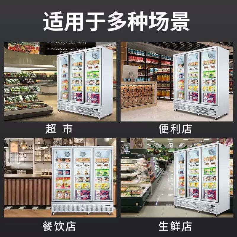 全雪饮料冷藏展示柜便利店保鲜商用双开门冰箱冷冻冰柜-22℃立式