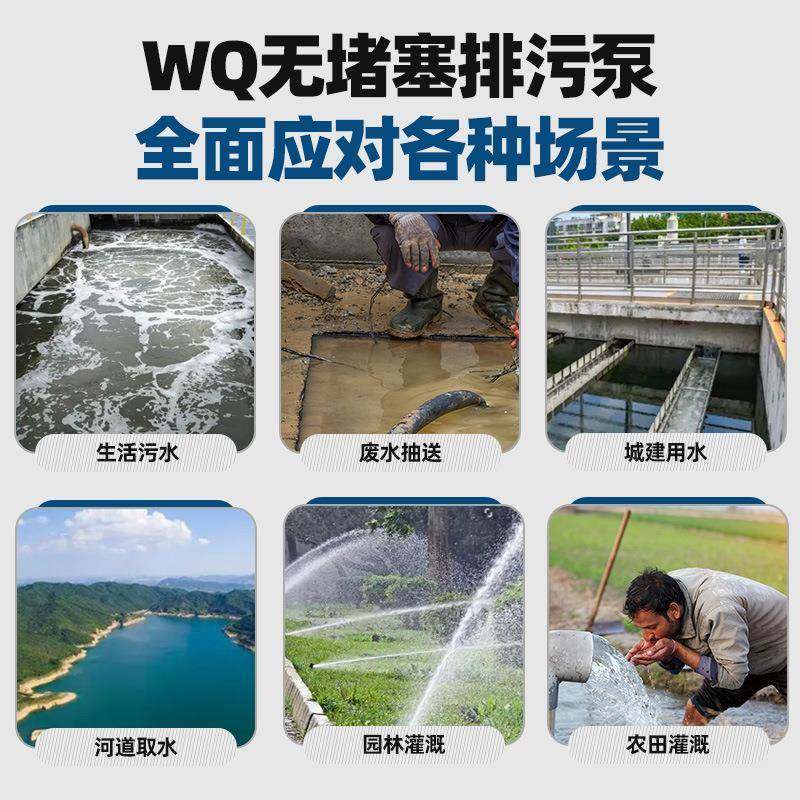 30工4潜水排污泵CSF全不钢提污升水锈泵耐腐蚀化潜水泵316无堵切