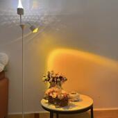 网红波水落地灯氛围直播背TAM纹景灯灯双头落日灯