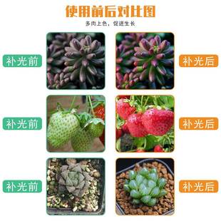 润照明ED植物灯L谦室内量子KAZ板物植生长灯大棚温室多肉补光灯家