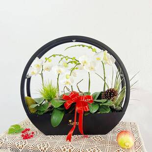 新中式圆蝴rbjj1215物兰花仿蝶真植花盆简约轻奢年架宵花盆栽摆件