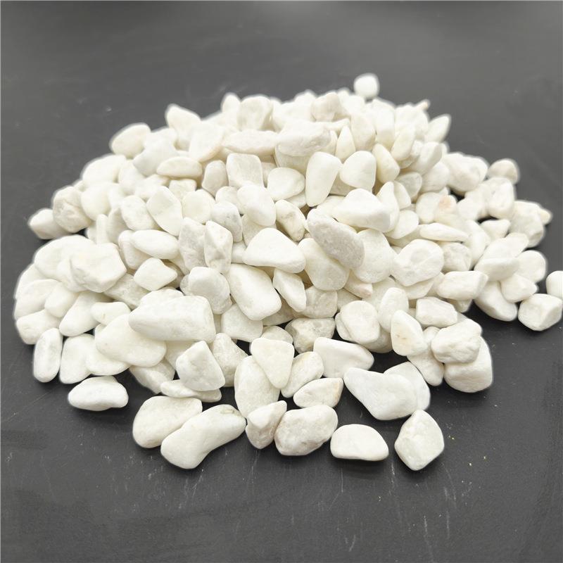 白色水石子林铺路庭院装园饰白色石子脚枯山造景白色砾石子垫石